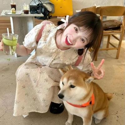 无敌少侠第三季